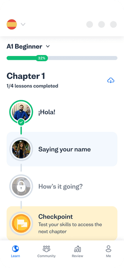Expert-designed lessons